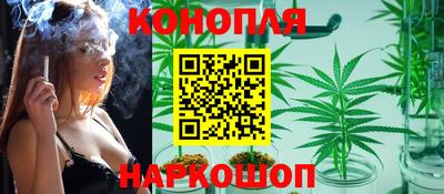 дмт Ачхой-Мартан