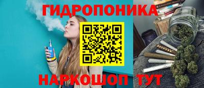 дмт Ачхой-Мартан