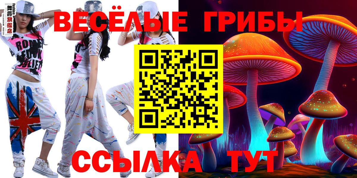 Галлюциногенные грибы Psilocybine cubensis  Псилоцибиновые грибы прущие грибы  Вход с VPN  Елабуга 