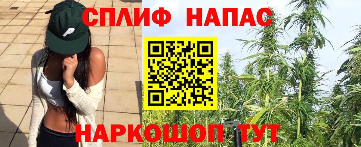 Бошки Шишки OG Kush  Бошки марихуана гибрид  Вход с VPN  Каннабис THC 21%  Елабуга 